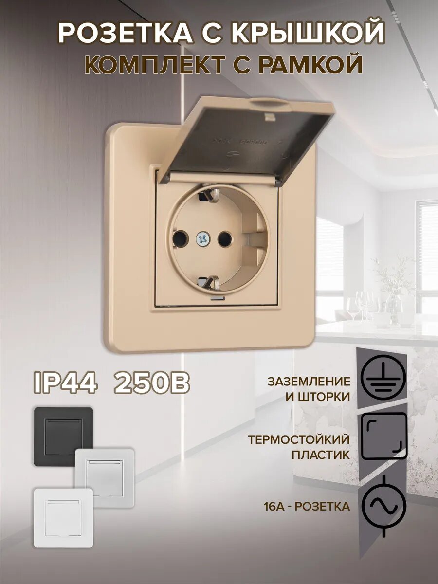 Розетка внутренняя одинарная с крышкой и с заземлением Arte Milano SET16-1-41-1 shampan