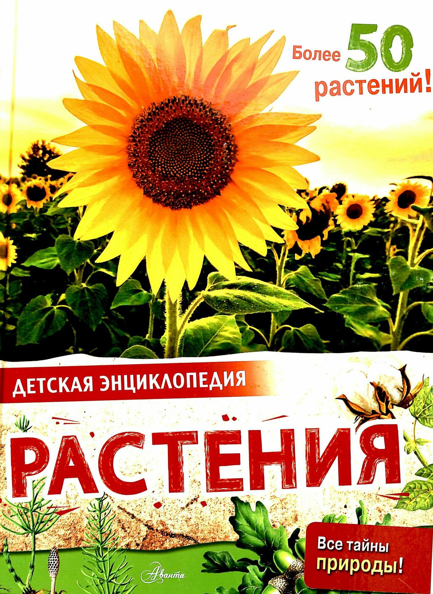 Растения (МакРей Э.)
