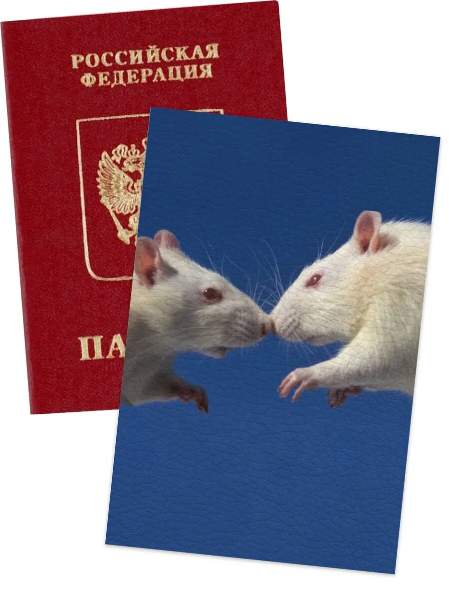 Обложка для паспорта