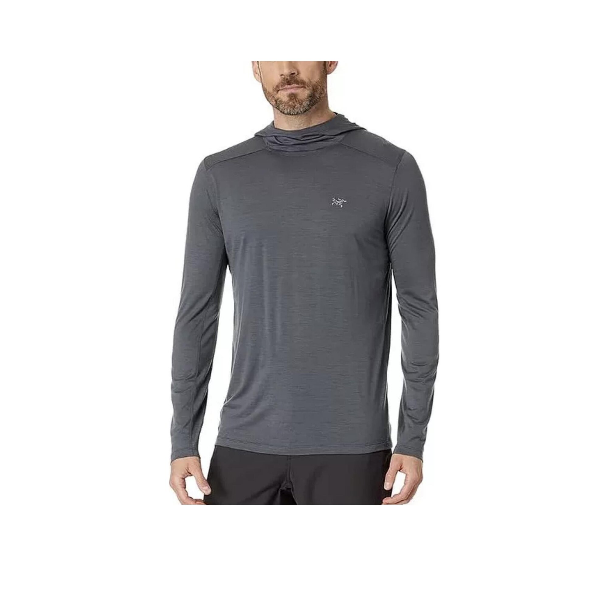 Толстовка Arc'teryx