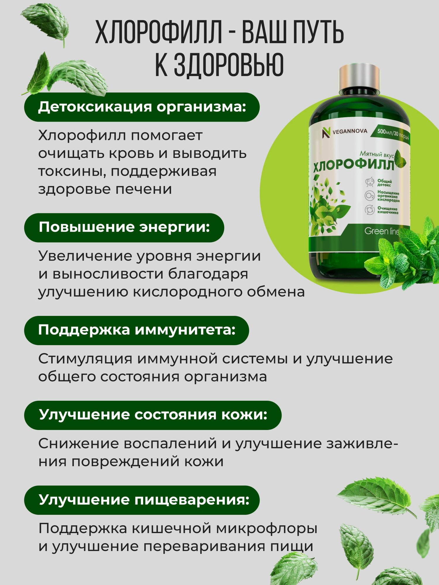 Изображение Vegannova БАД Хлорофилл жидкий со вкусом мяты, 30 порций, 500 мл