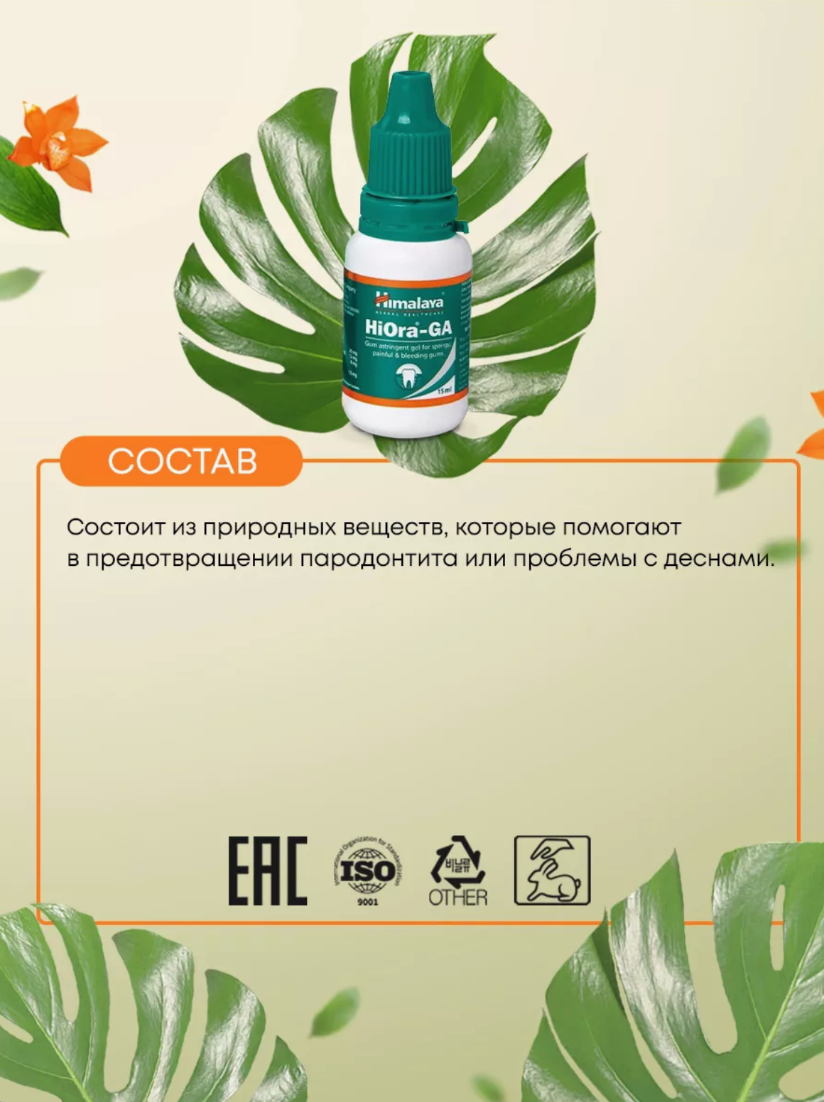 Гель для десен Хиора-ГА Хималая (Hiora-Ga Himalaya), залечивает раны, при кровоточивости десен, освежает полость рта, 15 мл. — фото 1