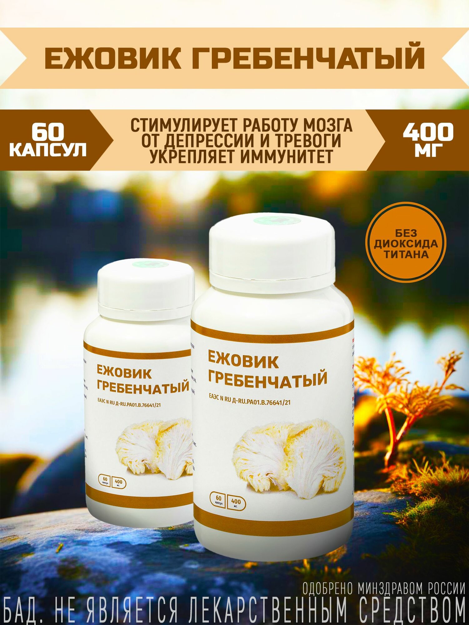 Ежовик гребенчатый, 60 капсул
