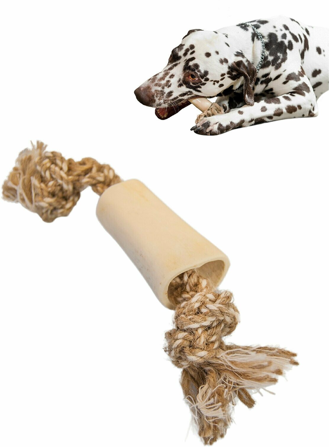 Игрушка для собак Japan Premium Pet со скользящей веревкой в виде мозговой кости быка, с функцией чистки зубов.