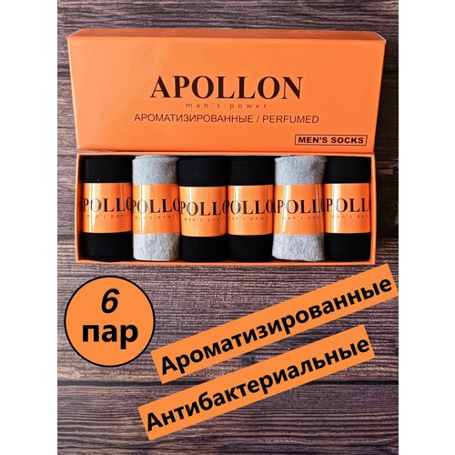 Носки APOLLON, 6 пар, размер 41-46, черный, серый