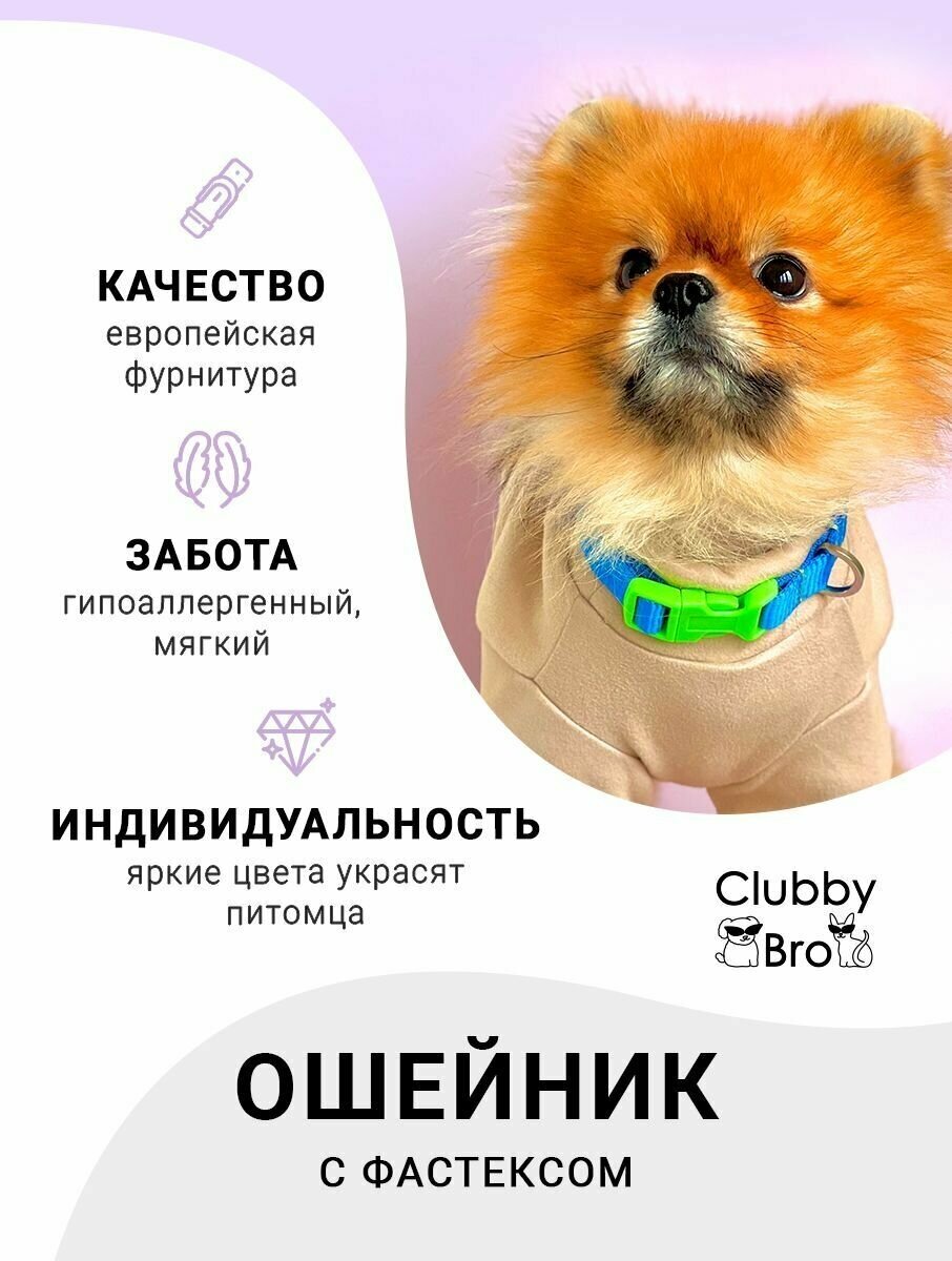 Clubby Bro Ошейник для собак мелких пород и средних пород, синий-зеленый, размер M