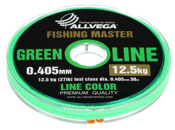 Леска монофильная ALLVEGA Fishing Master диаметр 0.405 мм тест 12.5 кг 30 м зеленая
