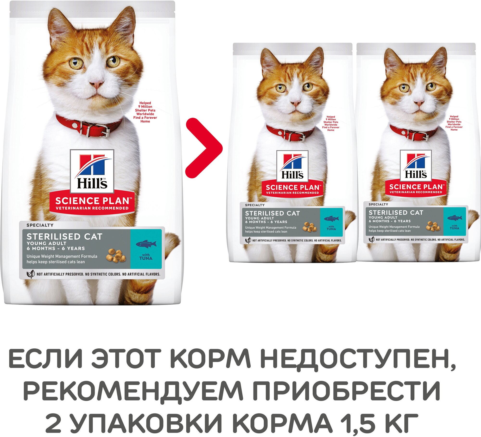 Сухой корм Hill's Science Plan Sterilised Cat Young для взрослых кошек /для взрослых кошек после стерилизации, тунец, 1.5кг - фото №18