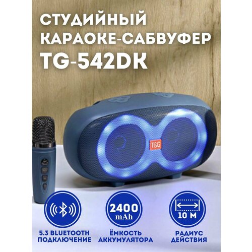 Портативная Bluetooth TG-542DK 329000₽