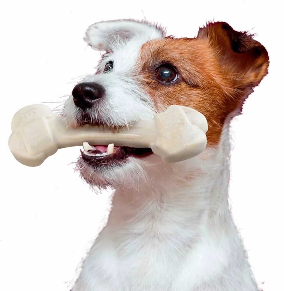 Игрушка-кость GoodBite XS, съедобная, для собак, вкус курицы, 16,5g x4 - фотография № 6