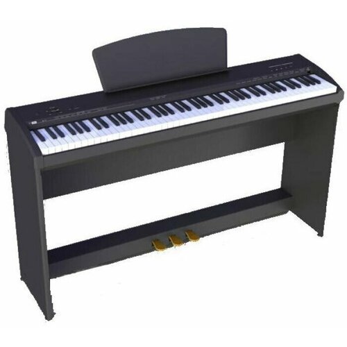 Пианино цифровое Sai Piano P-9BT BK