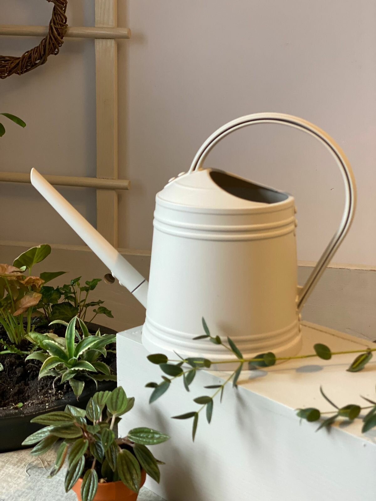 Лейка пластиковая для комнатных растений LYRA Beige/ для сада и огорода / 1.8 литра - фотография № 1