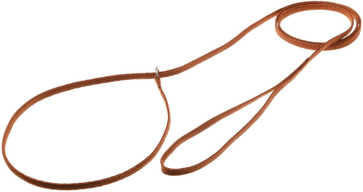 Поводок удавка для собак, с кольцом (лента-чулок) 5мм * 120см, светло-коричневый