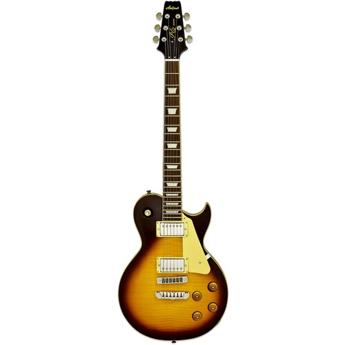 Aria Pro II PE-590STD AGTS гитара электрическая, 6 струн aria mac std mbs электрогитара 6 струн