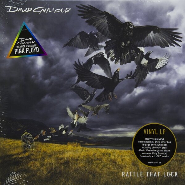 Виниловая пластинка Warner Music David Gilmour - Rattle That Lock