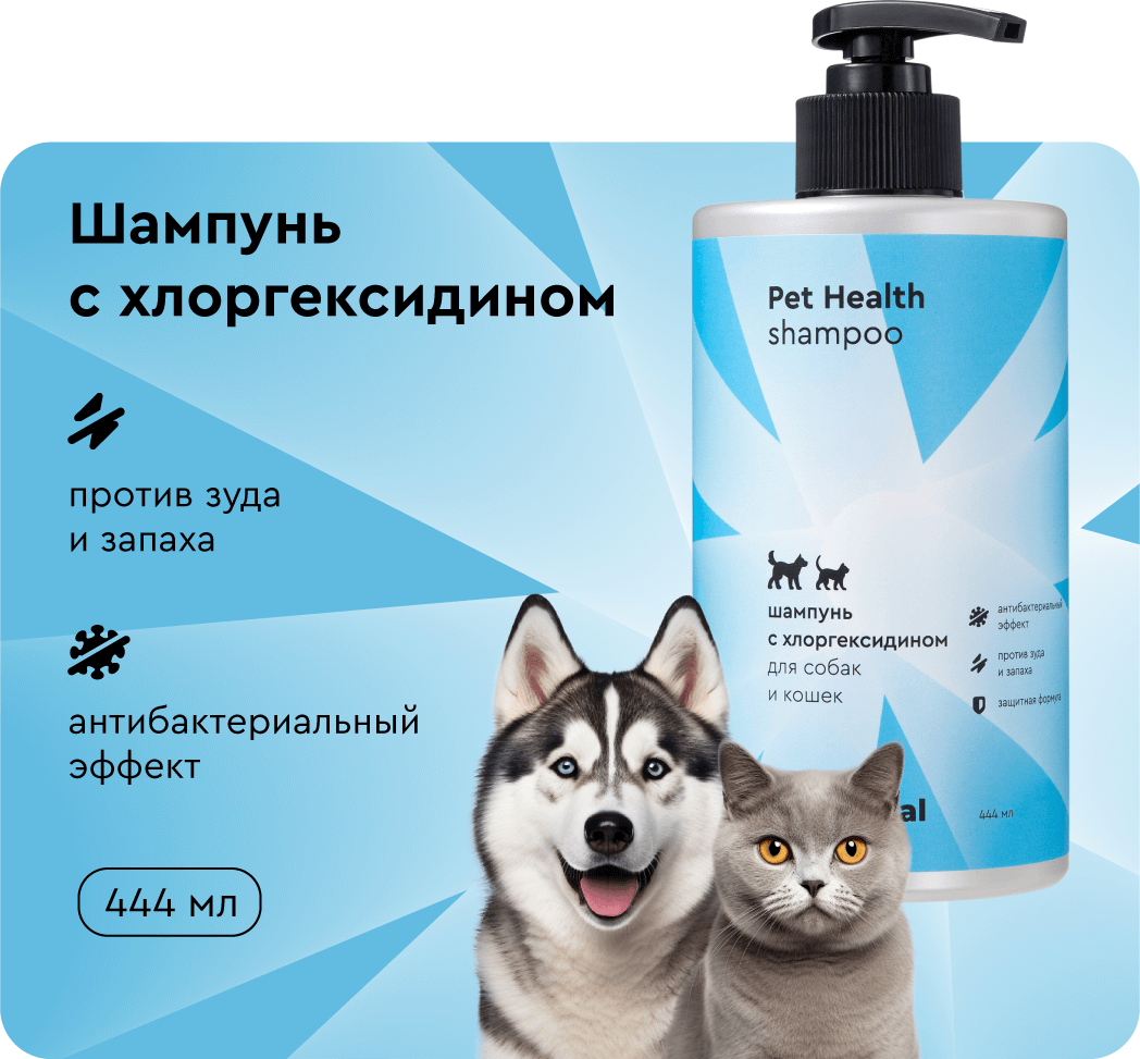 Шампунь для собак и кошек ProAnimal с хлоргексидином, антибактериальный, против зуда и запаха, 444 мл - фотография № 1