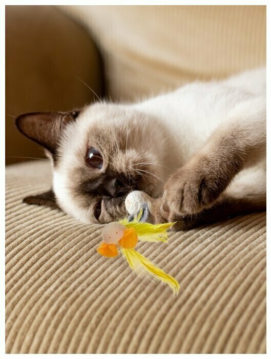 Игрушка для кошек Japan Premium Pet "Кувыркающиеся мышки" из натурального кокона шелкопряда, 2 шт - фотография № 1