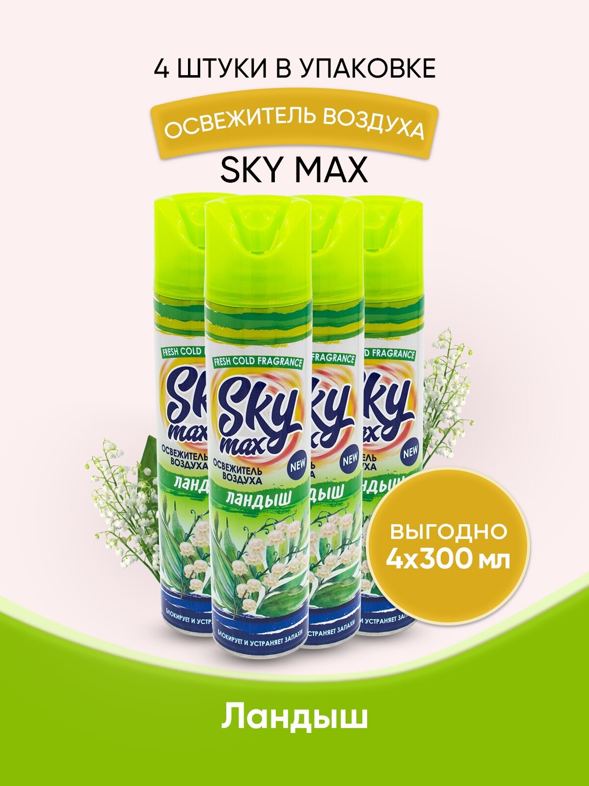 SKY MAX