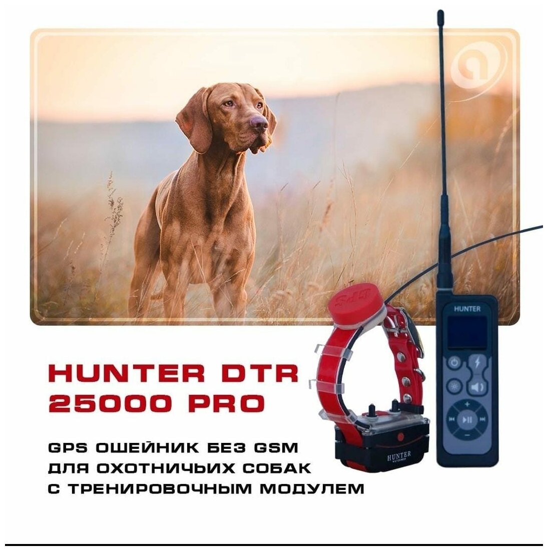 GPS ошейник для охоты Hunter DTR 25000 PRO с импульсом