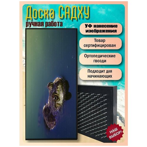 фото Доска садху для йоги с гвоздями, уф печать животные звери лягушка - 3101 шаг 10мм woodart
