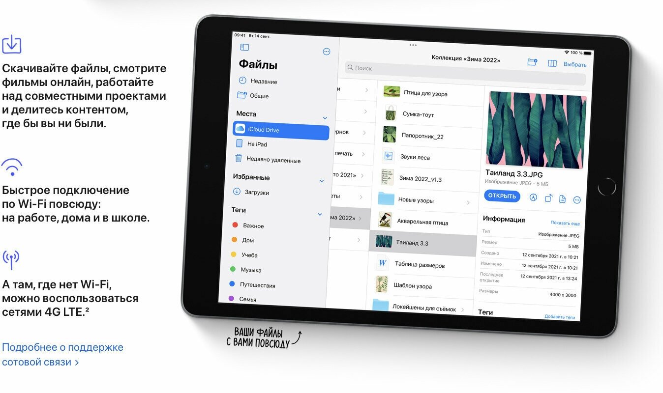 Планшет Apple iPad 2021 10.2" Wi-Fi 64Gb (MK2K3LL/A) Space Grey - фото №9