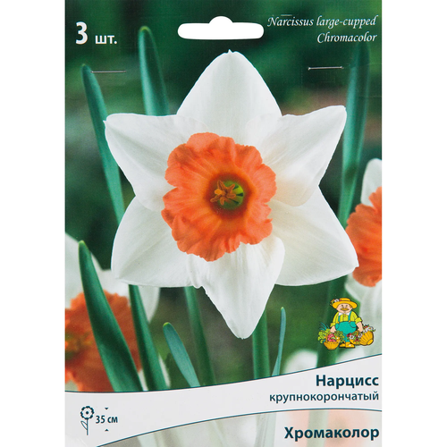 Нарцисс крупнокорончатый Хромаколор, размер луковицы 10/12, 3 шт.