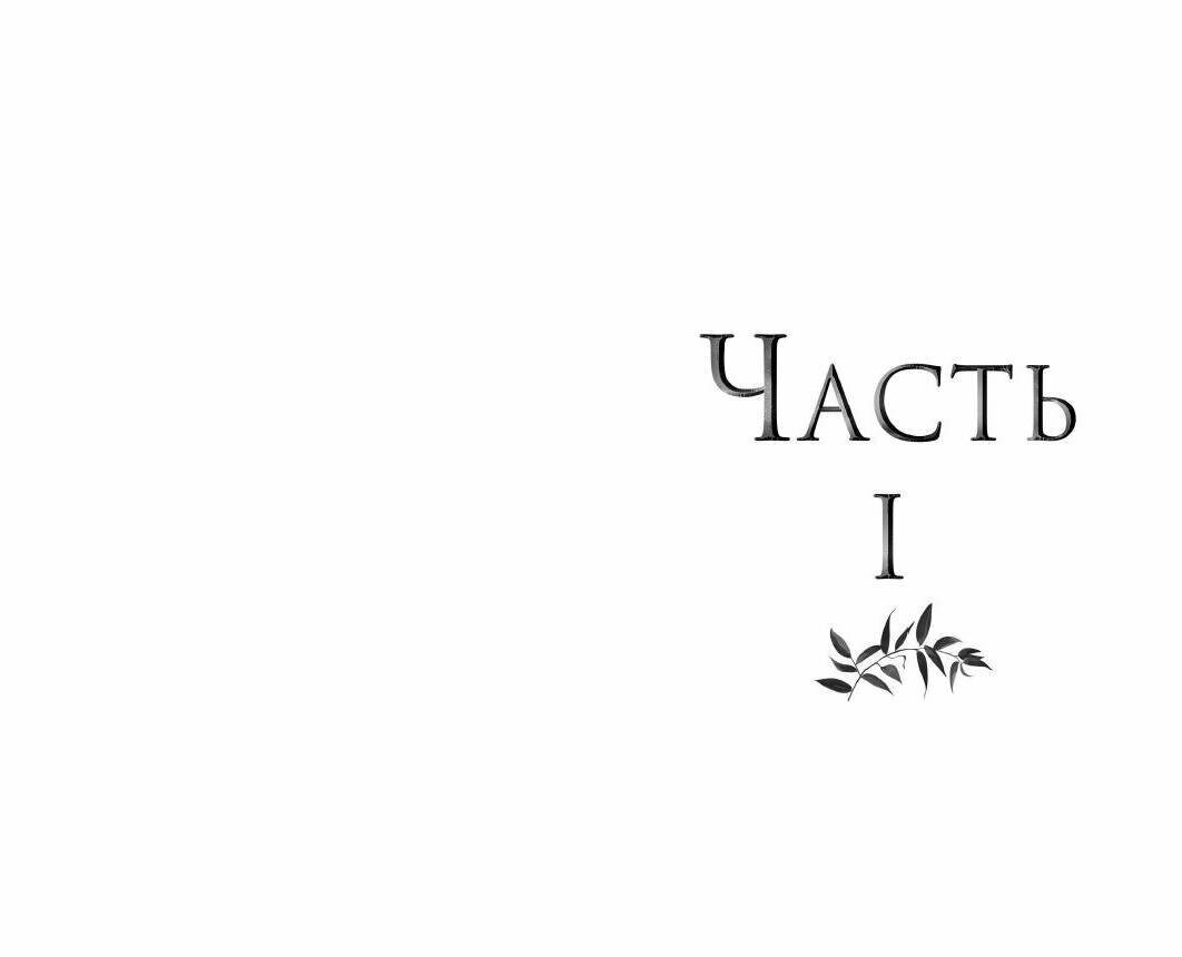 Железный король (Кагава Джули) - фото №3