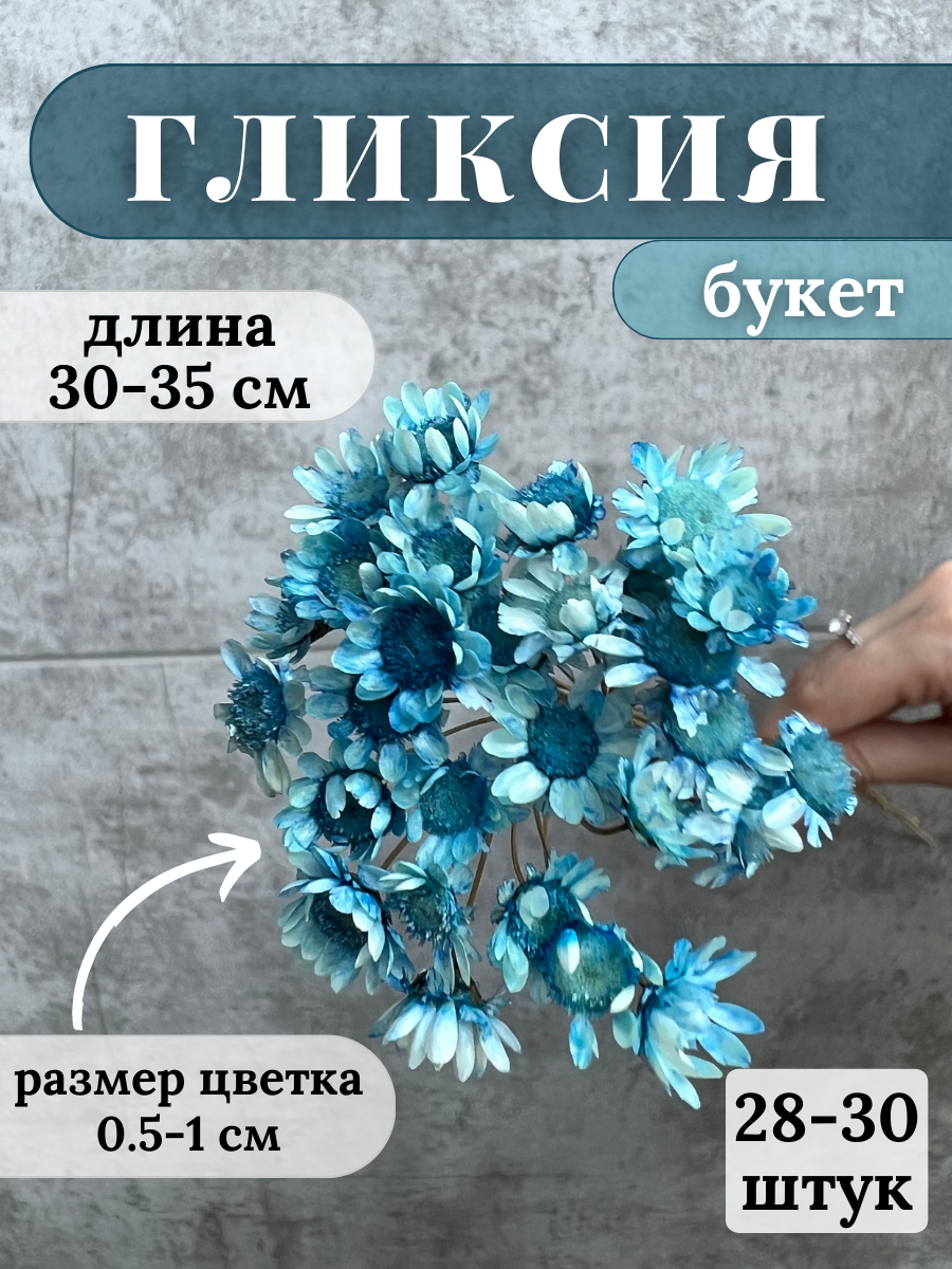 Сухоцветы Гликсия для декора и творчества (Цвет: сине-голубой)