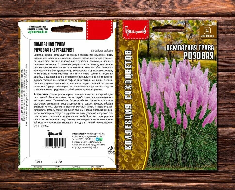 Пампасная трава Розовая (Кортадерия розовая) 001г (Семена редких декоративных многолетников)