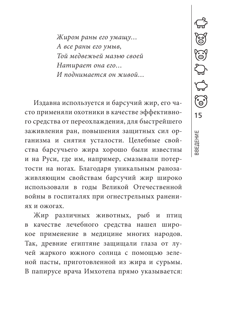 Сало лечит (Макунин Дмитрий Александрович) - фото №10