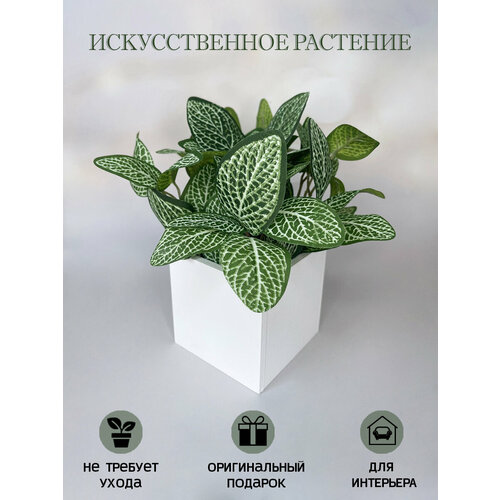 фото Искусственная трава в ящике для дома и офиса, подар. ок home подар.окhome