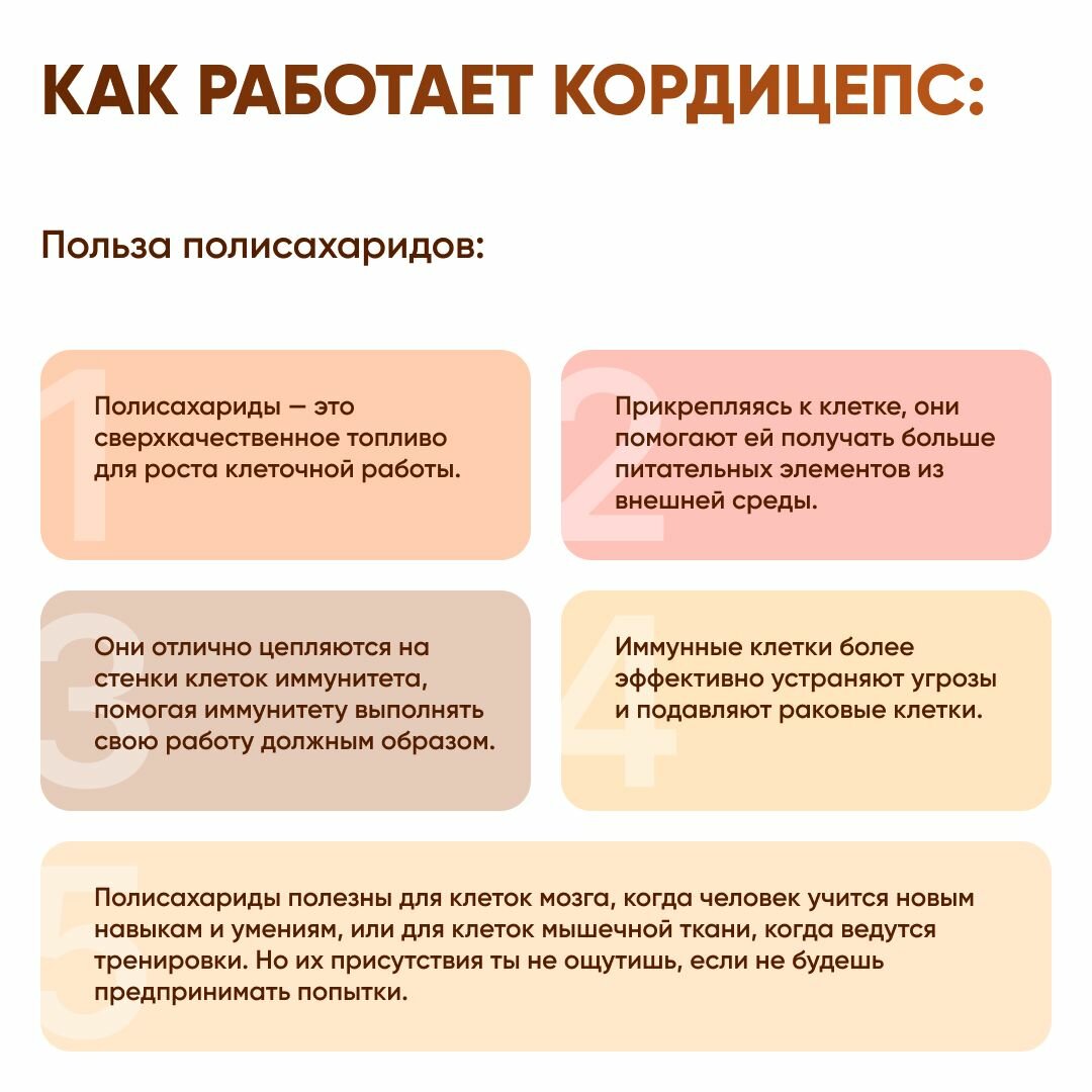 Изображение Жидкий экстракт Кордицепс милитарис, 30 мл (Cordyceps militaris)