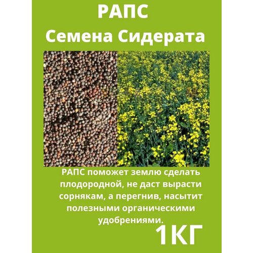 фото Рапс семена сидераты трава газонные 1 кг очумелый огородnik