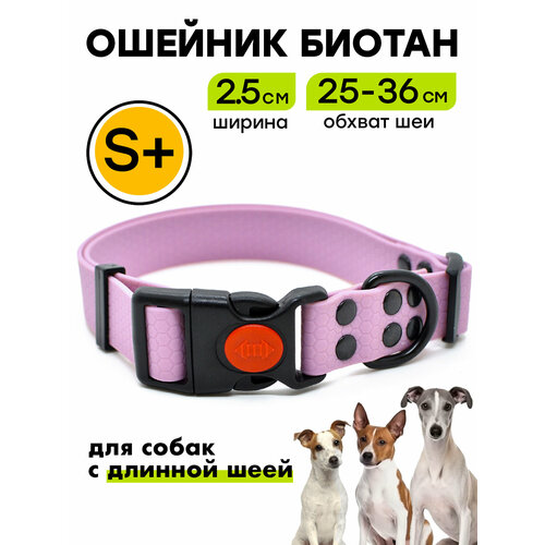Ошейник из биотана 25-36 см (S+), 25 мм, Woofy "Iron", водостойкий, для небольших и средних собак, лавандовый