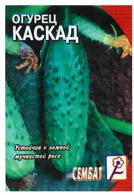 Семена Огурец "Каскад", 0,5 г