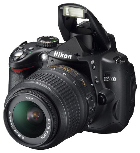 Сравнение характеристик Фотоаппарат Nikon D3100 Kit и Фотоаппарат Nikon D5000 Kit