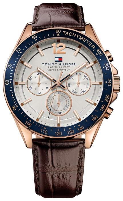 Наручные часы TOMMY HILFIGER 1791118 