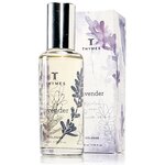 Thymes Lavender - изображение