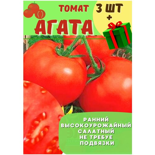 Томат Агата ранний, скороспелый 3шт семена томата новичок 5 уп по 0 05 гр гавриш низкорослые помидоры на улицу