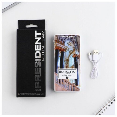 Зарядное устройство Искусство 8000мА модель PB-21 145 х 69 см 269700₽