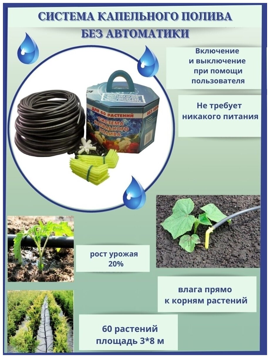 Система капельного полива из бочки Аквадуся (Беларусь) 60 растений для теплицы многолетняя