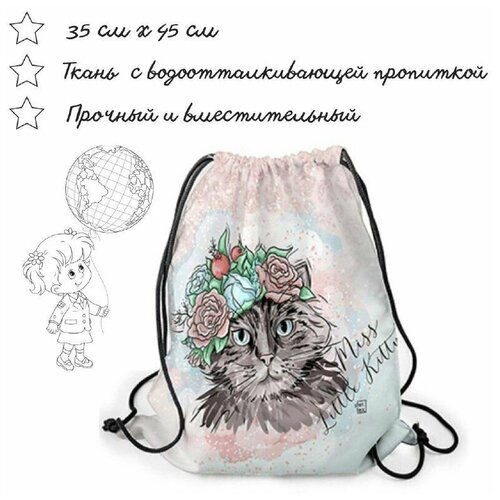 Мешок для обуви 35х45 см
