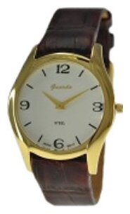 Наручные часы GUARDO S09873A.6 сталь