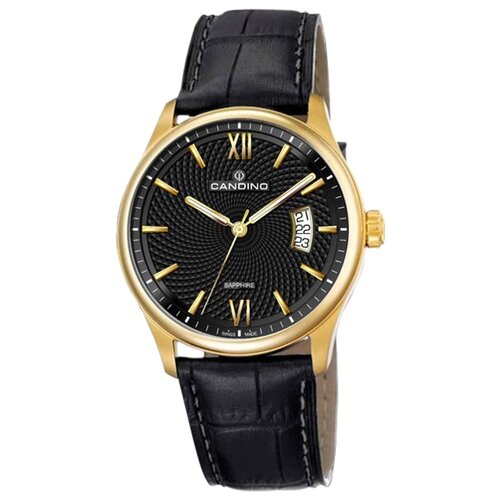 Швейцарские мужские наручные часы Candino C4693/3 черный  