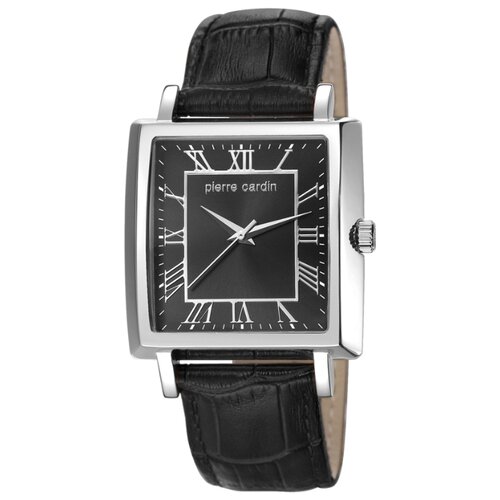 Pierre Cardin PC106141F01