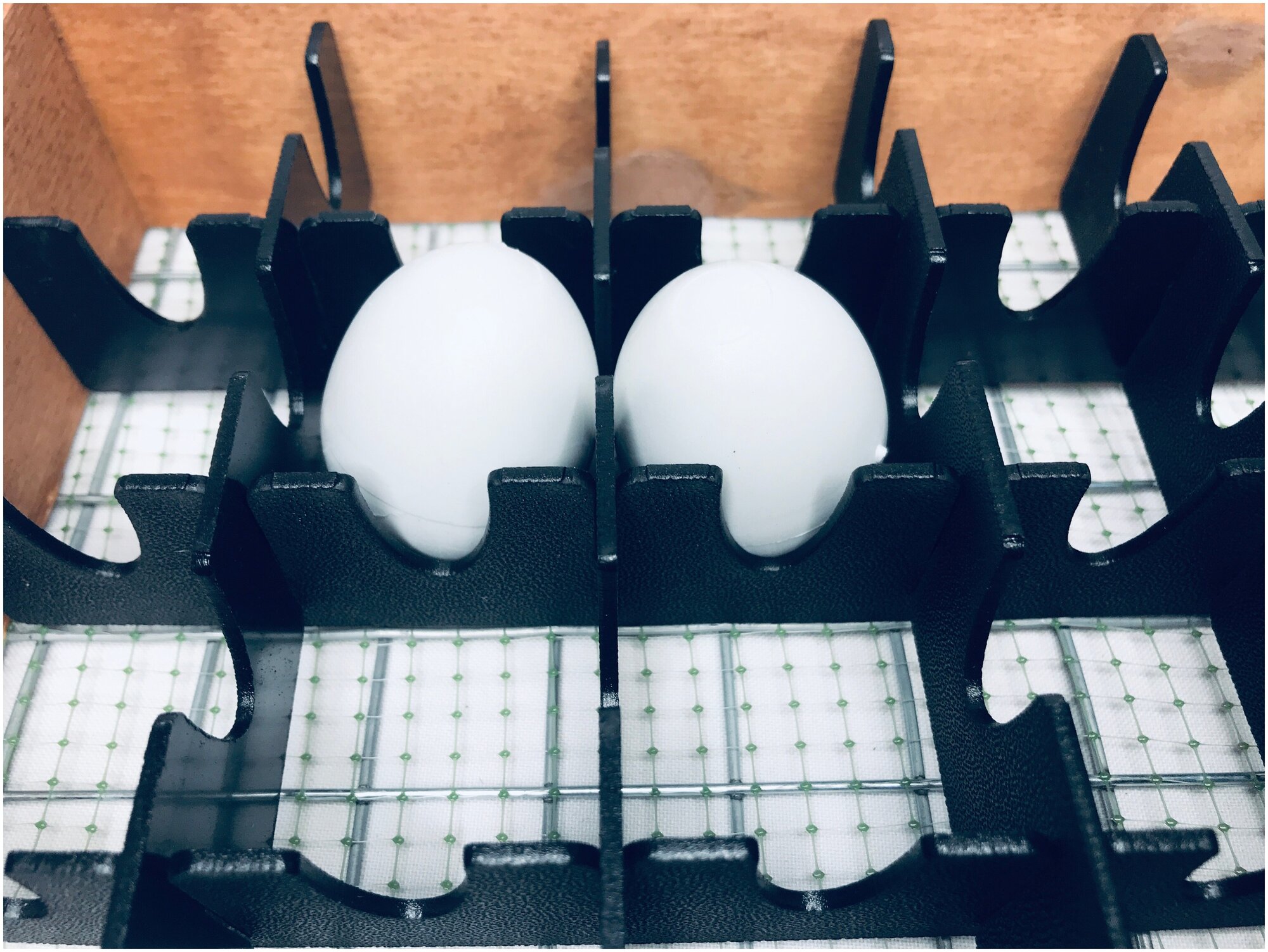 Перегородки для куриных яиц в инкубатор Блиц 48 цифровой - фотография № 3