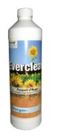 Berger-Seidle Средство для мытья полов Everclear 1 л