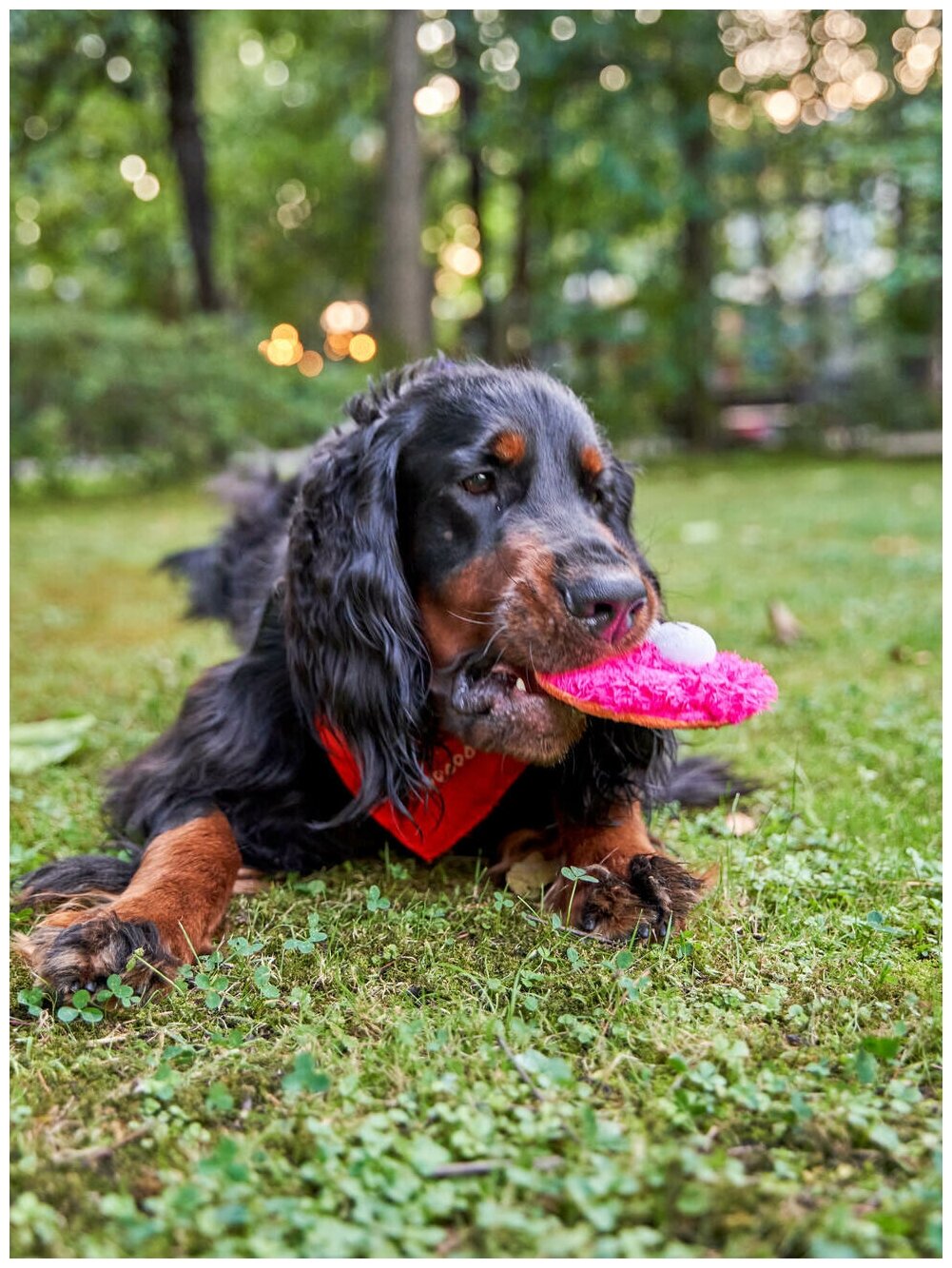 Игрушка для собак Japan Premium Pet Фрисби пушистый, розовый. - фотография № 13