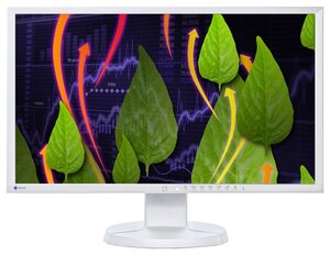 23" Монитор Eizo FlexScan EV2336WFS, 1920x1080, 76 Гц, IPS