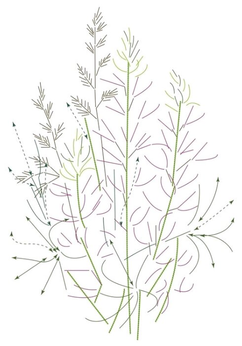 Вышивка гладью лаванда схемы для начинающих